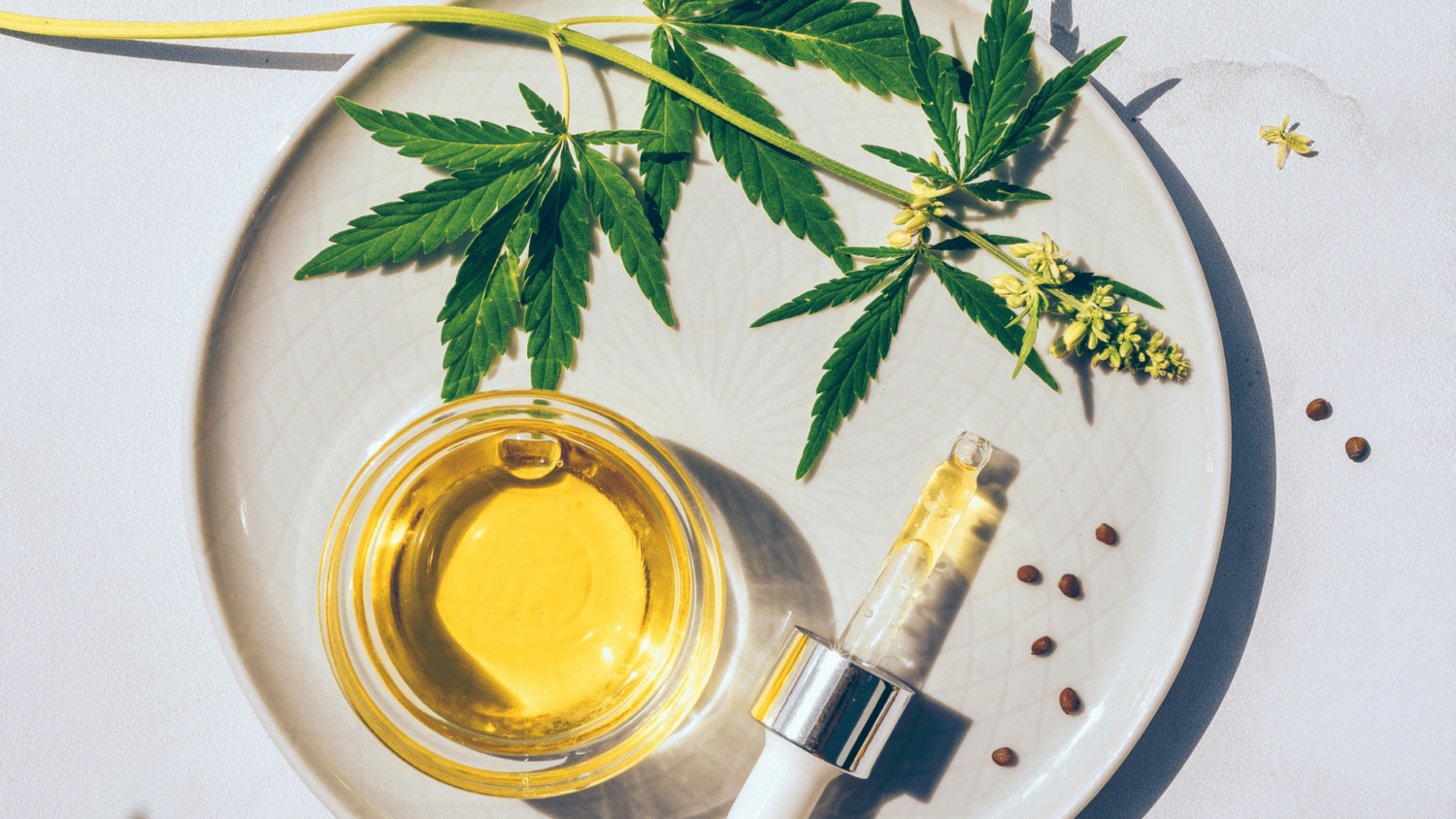 CBD Oil ou Huile de Chanvre?