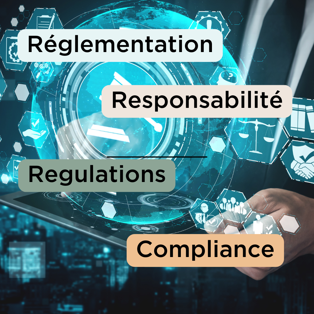 Développement 1: Pack sur la réglementation dans l&